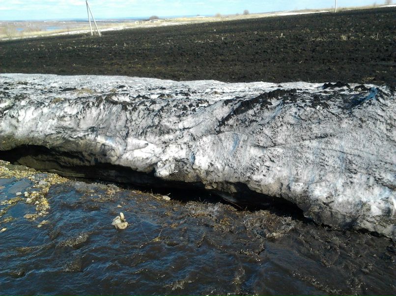 Антон Добродеев | Пильна