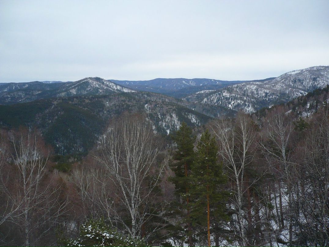 Сергей Рябухин | Калининград