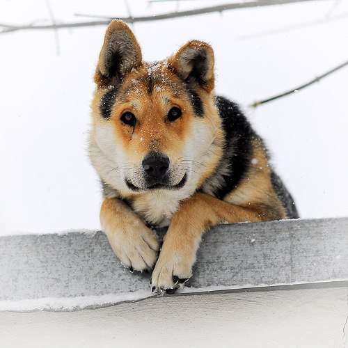 Александр Рудых | Ессентуки