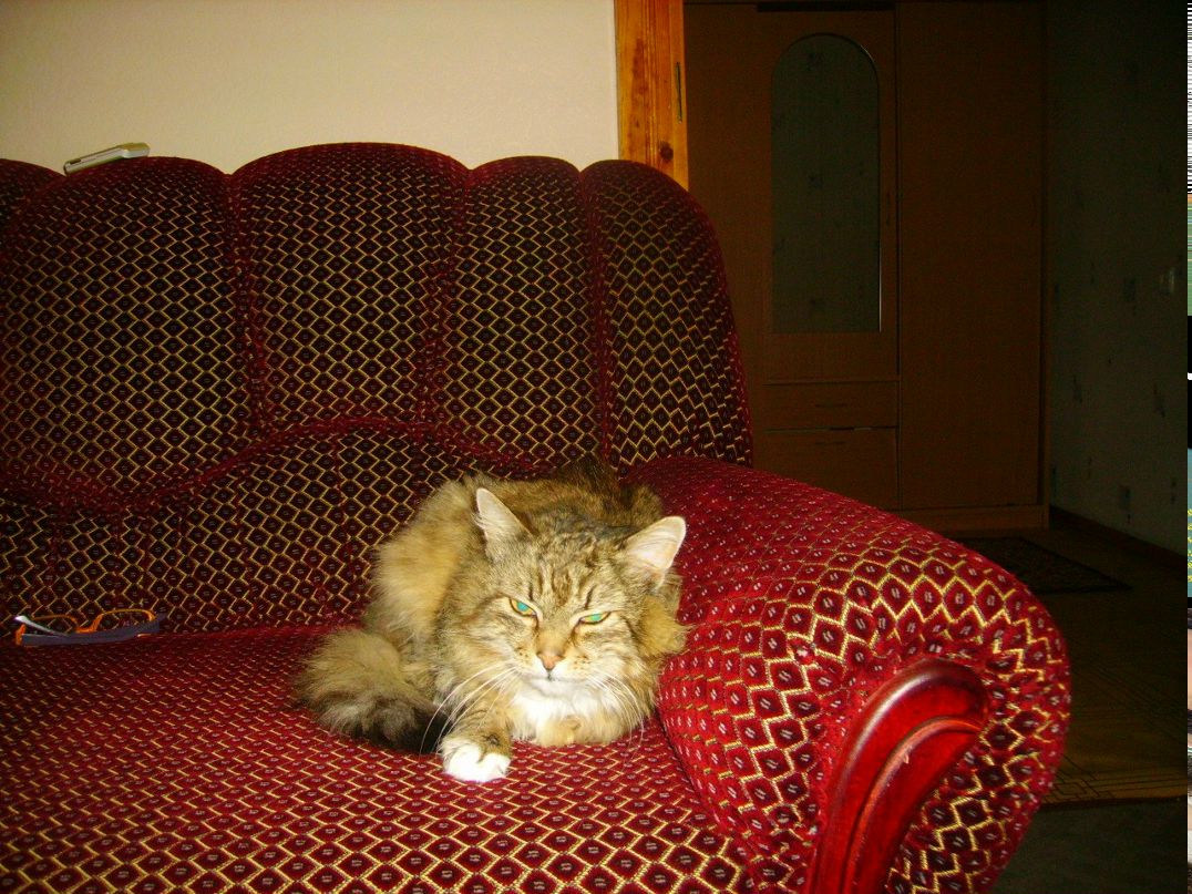 Lena K. Len4ik | Ross-on-Wye