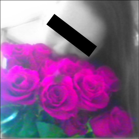 Ксения Шмелева | 