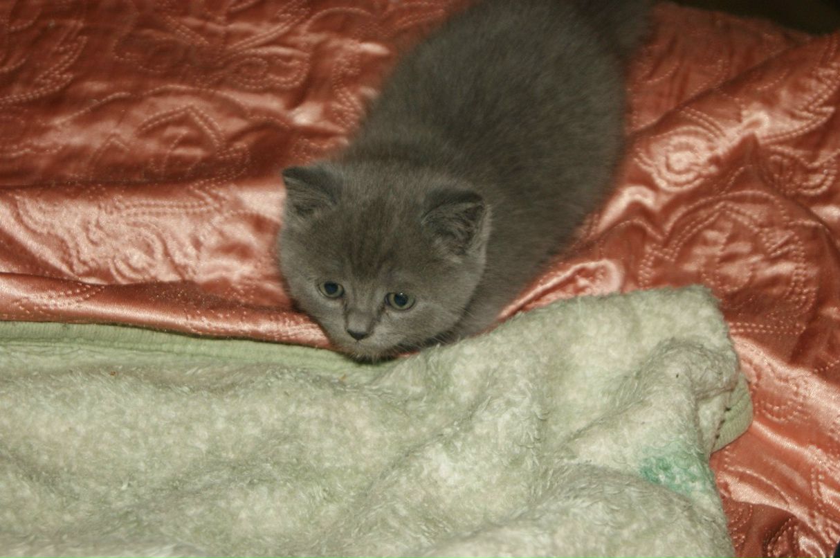 Ксения Корпушенко | Путилово