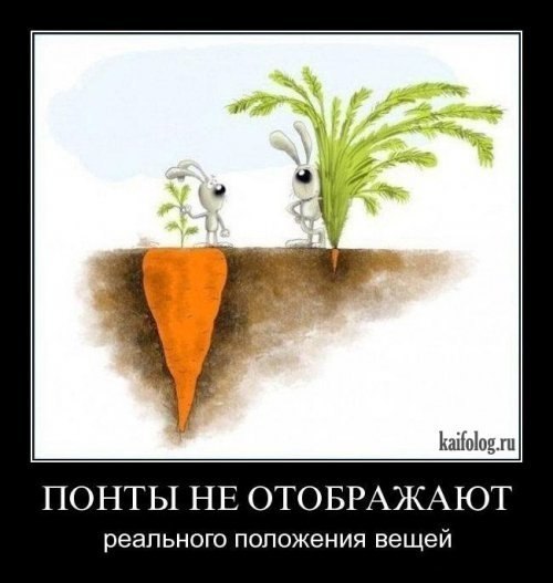 Алексей Селихов | Харьков