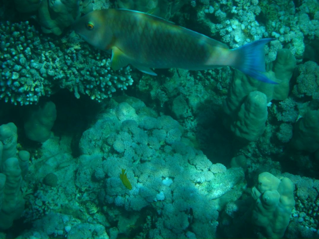 Анастасия Милюкова ★ aka лиса ★ | Москва