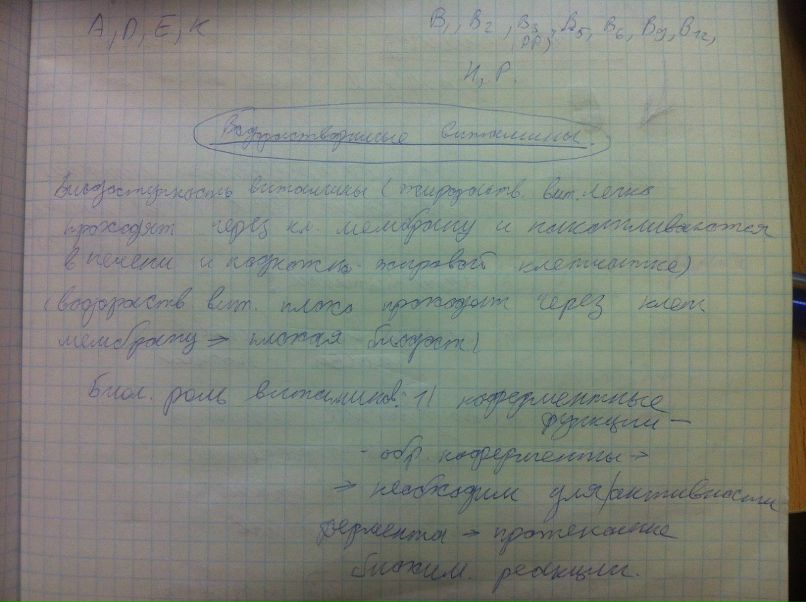 Эльтаир Дженкинс | Санкт-Петербург