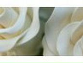 Эля Бахтиярова | 