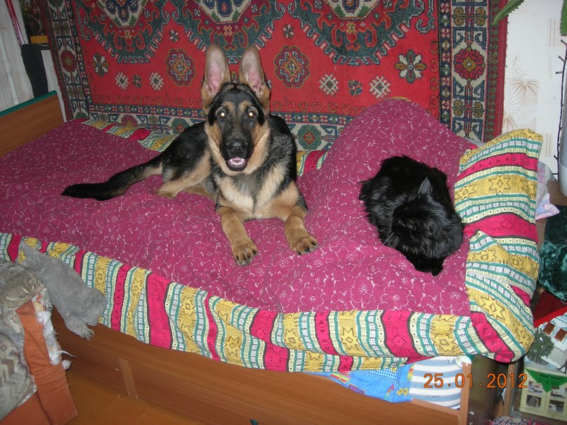 Михаил Кузнецов | Рыбинск