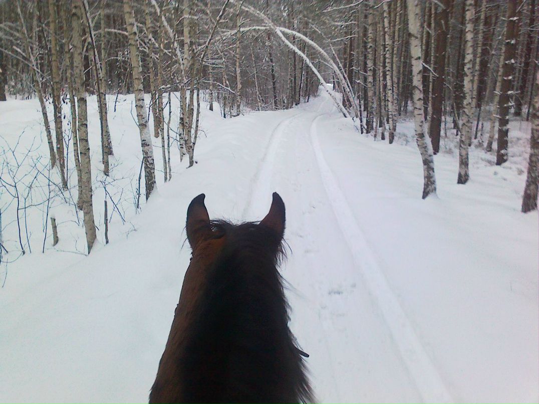 Олег Асташин | Ульяновск