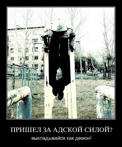 Кристас Арготис КАН | 