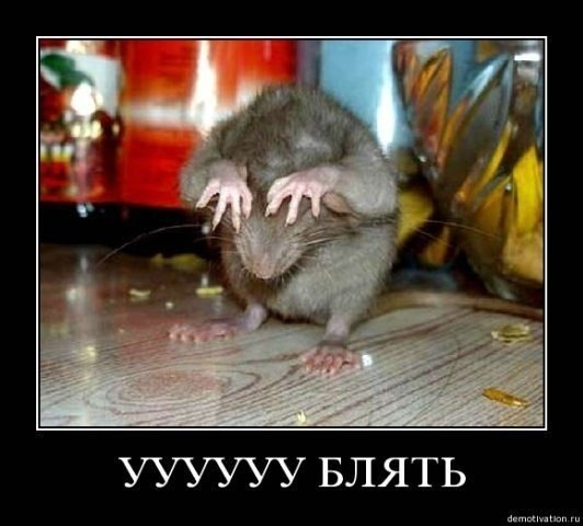 Максим Ильковский | Омск