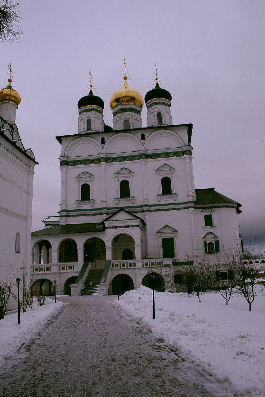 Антон Герасимов | Солнечногорск