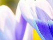 Ольга Игнатова | Москва