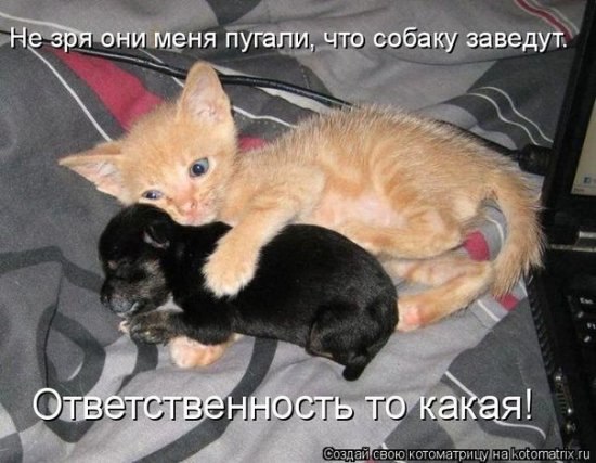 Анна Савченко Александровна | Киев