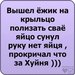 Ирина Сафарова фотография #5 (источник - https://vk.com/id161308072)