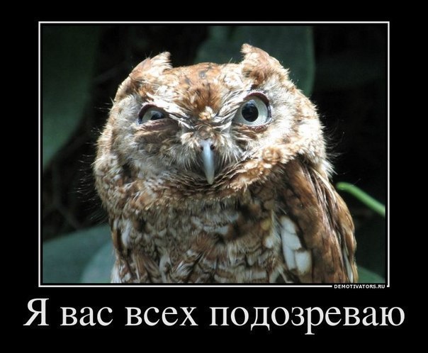 Андрей Вьюгин | Нижний Новгород