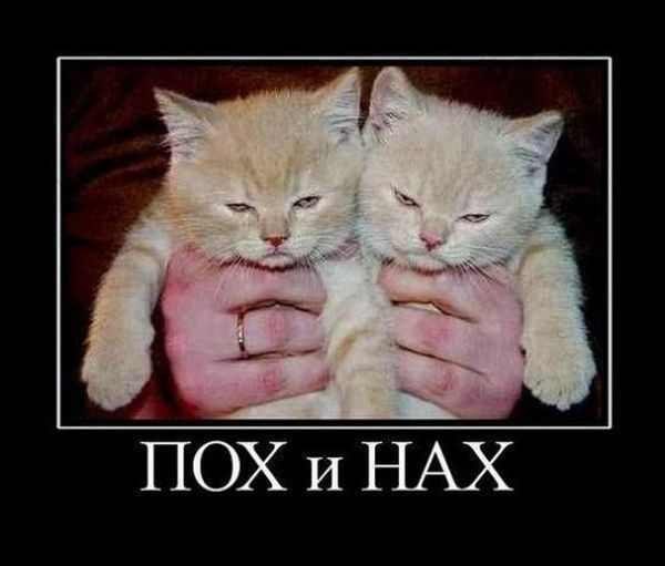 Арман Татубеков | Семей