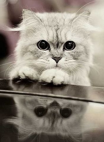 Аліна Мороз Іванівна | Ратно