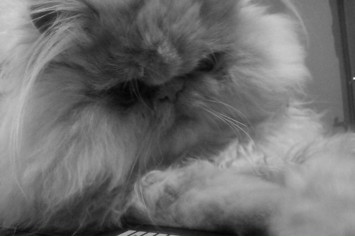 Анастасия Насонова | Николаев