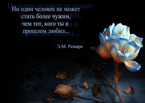 Виктория Антонова Евгеньевна | Пенза