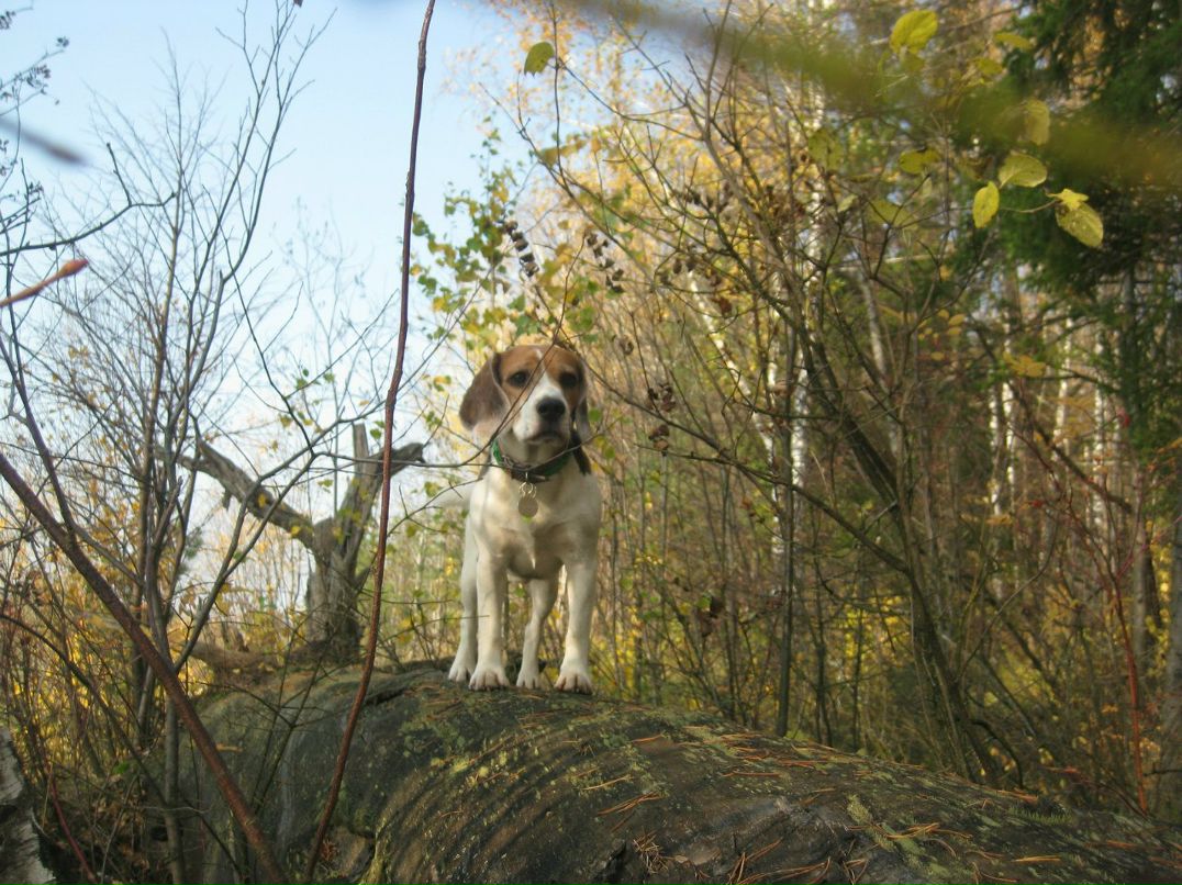 Полина Кулагина | Ижевск