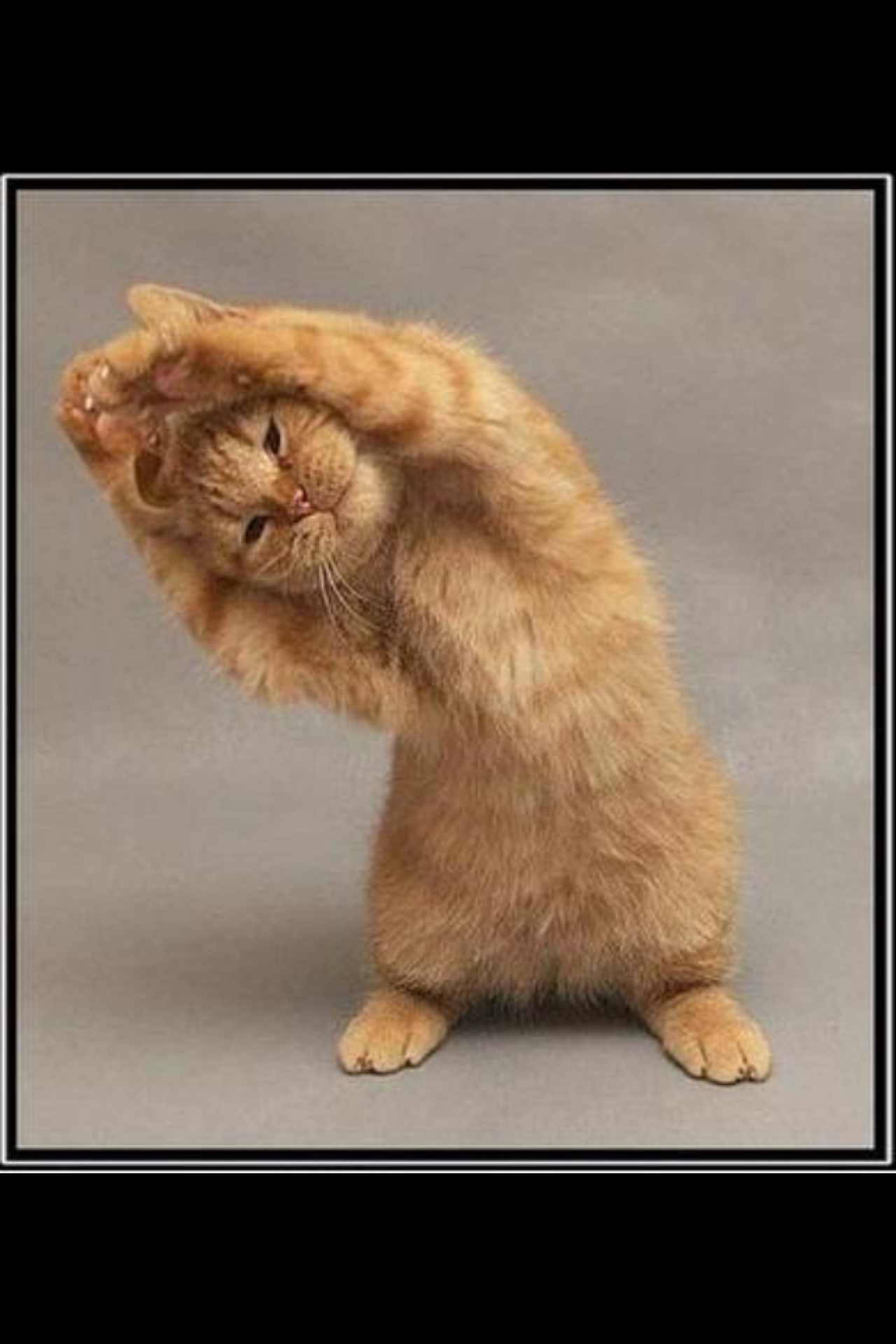 Соня Гужавина | Москва