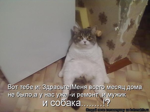 Юлия Гоцко | Санкт-Петербург