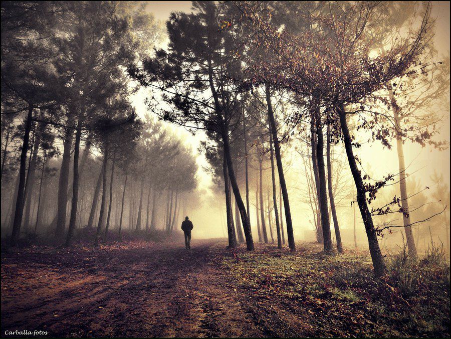 Григорий Seven | Екатеринбург