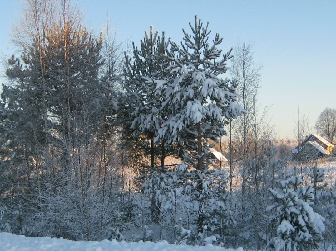 Елена Ильина | Санкт-Петербург