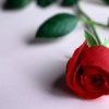 Аватар: Оксана Золина