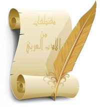 №27, Лейсан Исламова №27, Лейсан Исламова