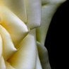 №130, Надія Галів, 62 года, Болехов №130, Надія Галів, 62 года, Болехов