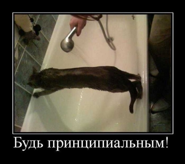 №9, Кирилл Запорожченко, Los Angeles, США №9, Кирилл Запорожченко, Los Angeles, США