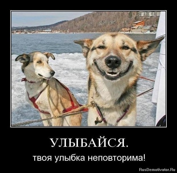 №59, Олеся Матвеюк, 37 лет, Львов №59, Олеся Матвеюк, 37 лет, Львов