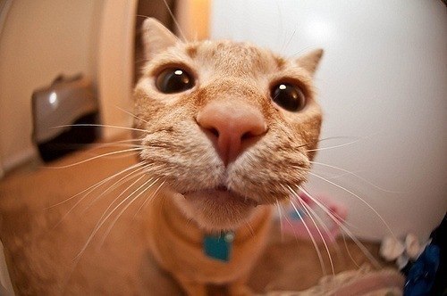 Иван Ломаков Philosopher | Харьков