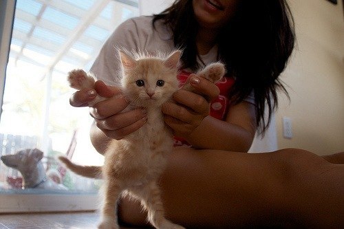 Ольга Гладкова кнопка | Санкт-Петербург