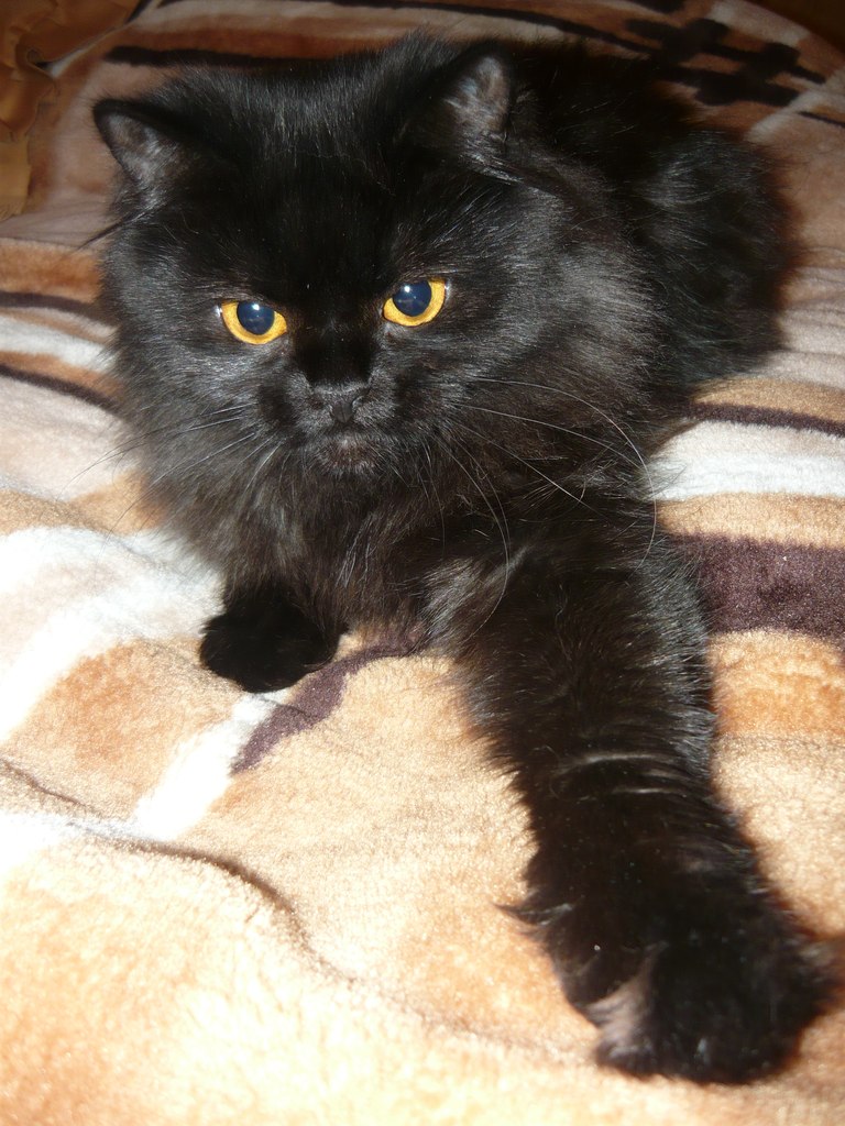 Яна Лабутина | Вологда