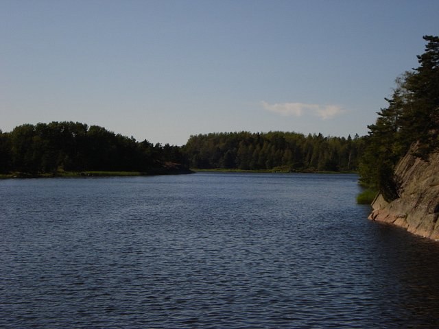 Евгений Заварский Александрович | Липецк