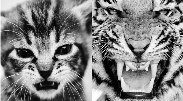 Любовь Толщина Сергеевна | Екатеринбург