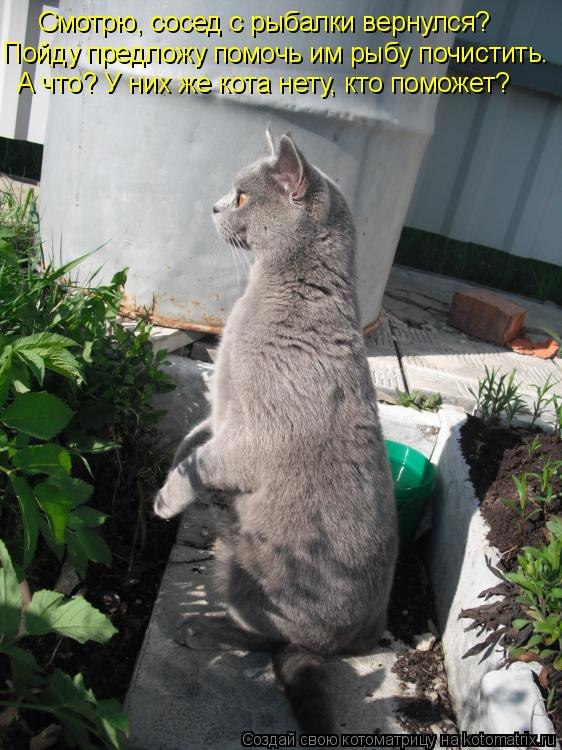 Игорь Макаров | Санкт-Петербург