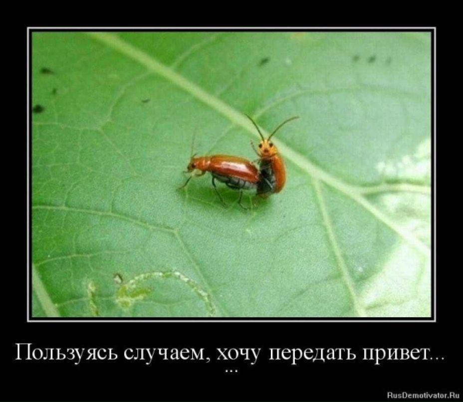 Дмитрий Диков Bombordir | Москва