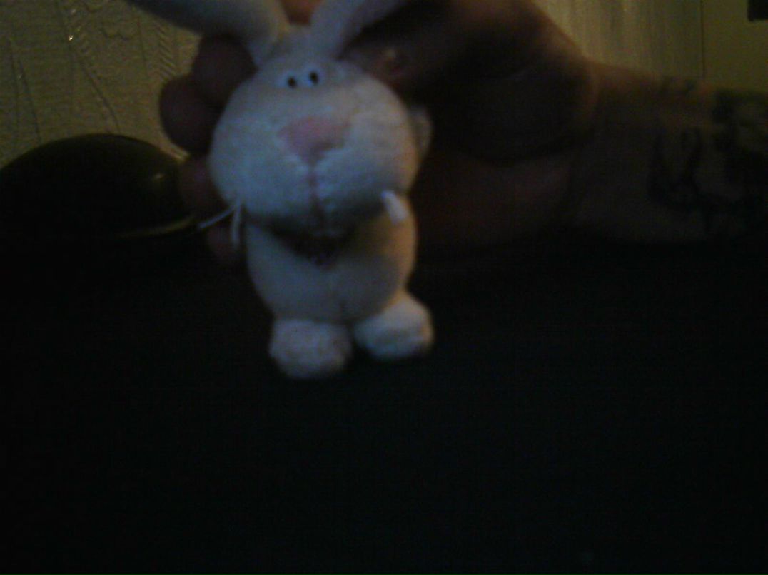 Дима Кужим | Минск