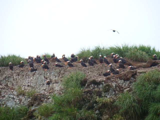 Анна Батаева | Санкт-Петербург