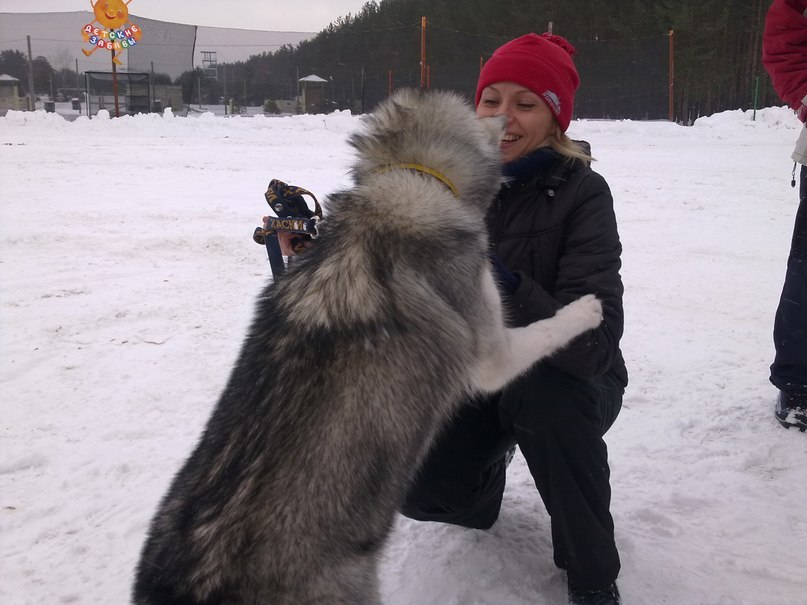 Марина Вершинина | Владимир