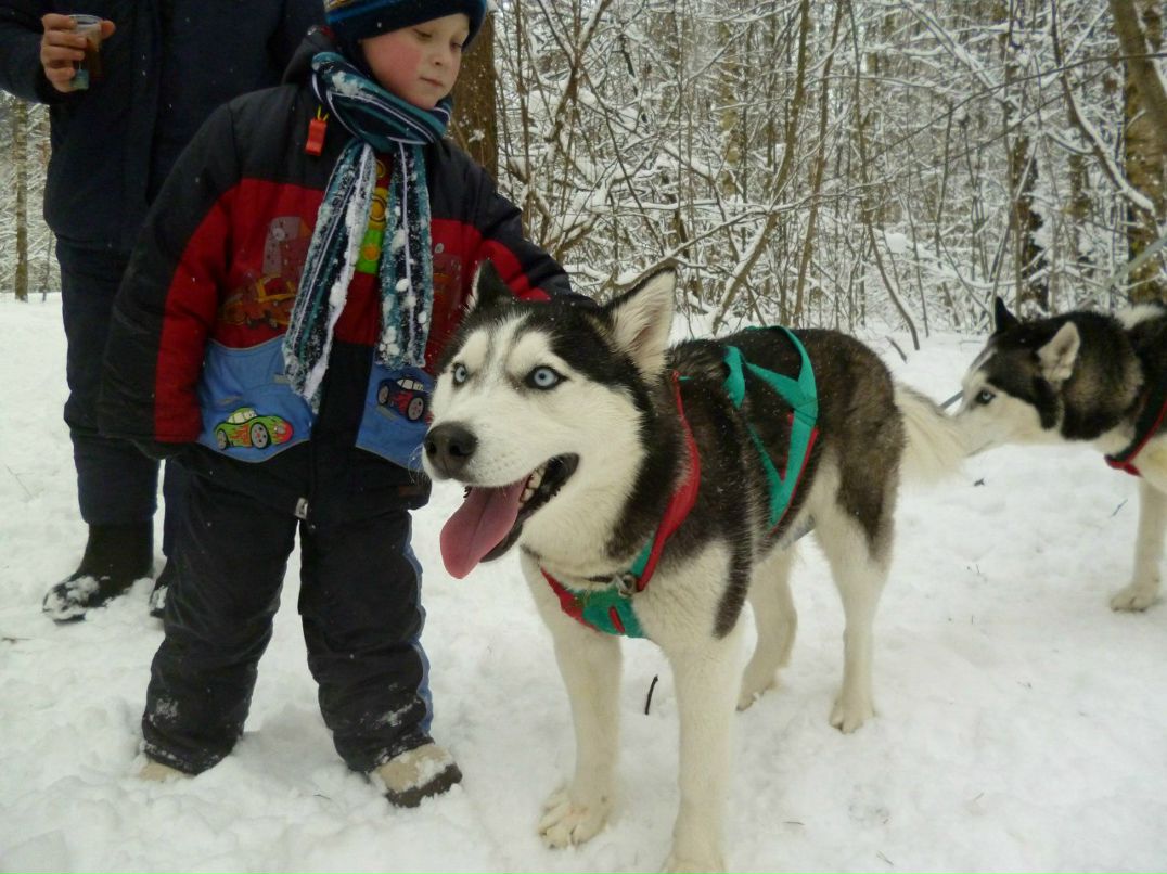Анна Романенкова | Ногинск