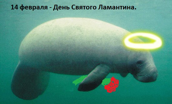 №80, Юрий Озирный, 32 года, Киев №80, Юрий Озирный, 32 года, Киев