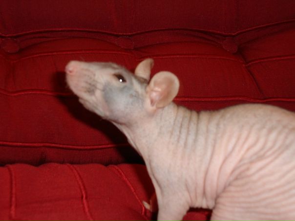 №19, Валерия Дегтярева, Донецк №19, Валерия Дегтярева, Донецк