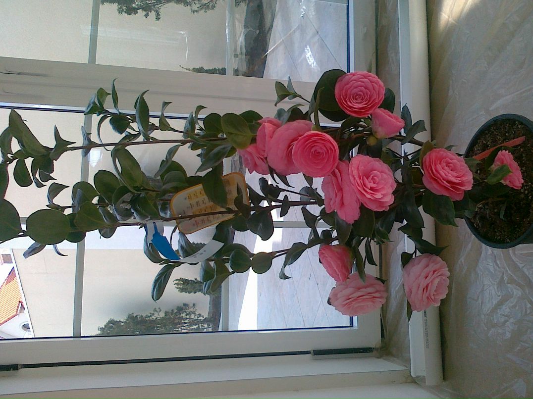 Женя Афанасьев @LEV@ | Одесса