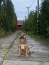 Фотография Алла Трифонова