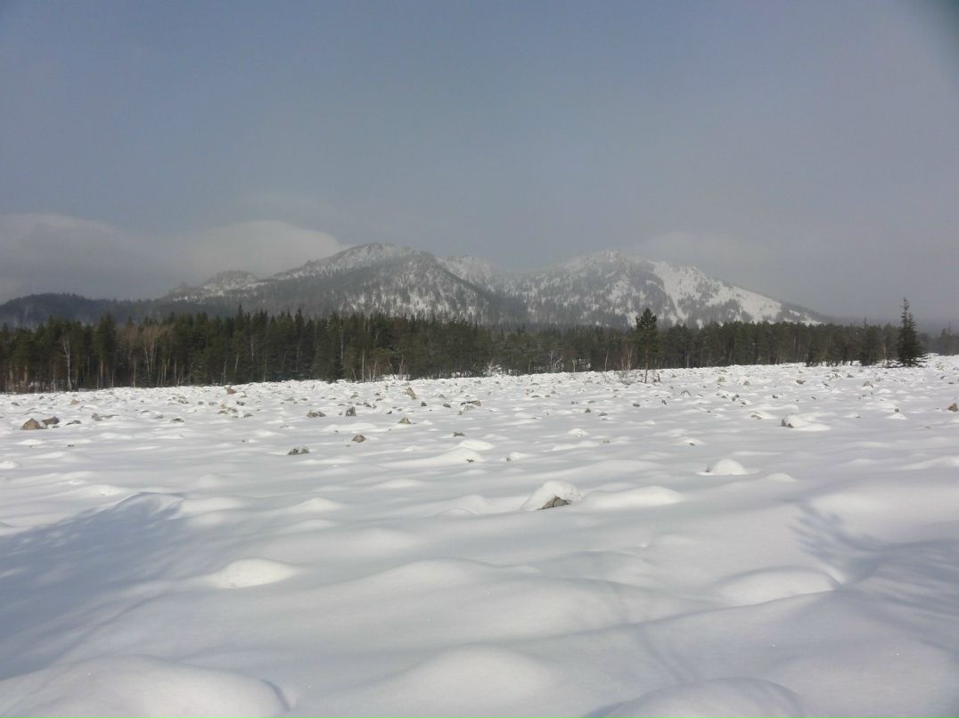 Алексей Настоящий | 