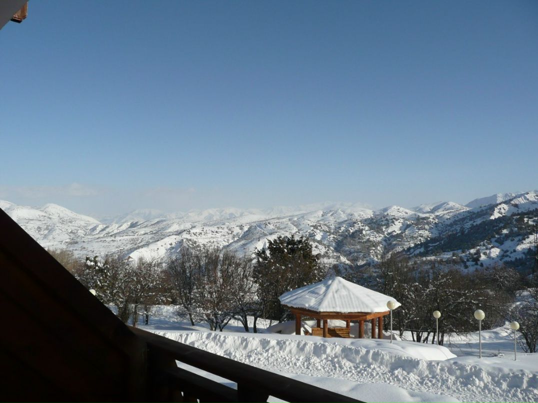 Елизавета Ермилова | Красноярск